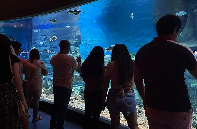 Bioparque Pantanal recebe manutenção e reabre para visitação no dia 7