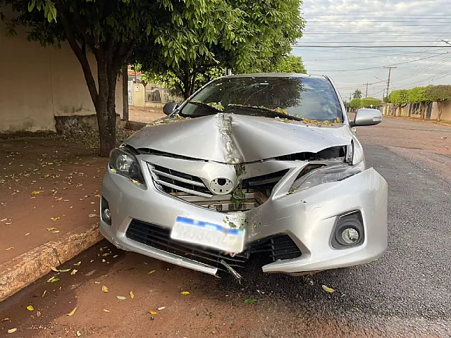 Mulher perde controle e bate carro em árvore na avenida Rio Brilhante