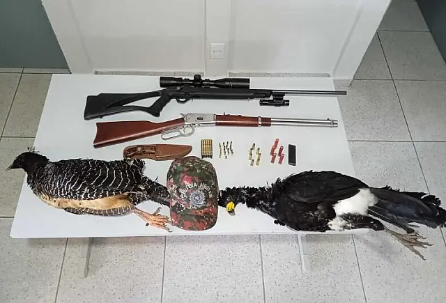 Turista é autuado em R$ 10 mil, ao ser flagrado capturando mutuns em MS