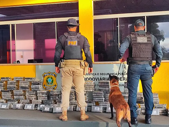 PRF apreende 237 Kg de cocaína em Guia Lopes
