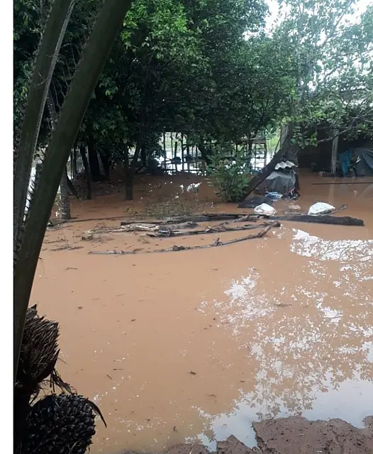 Equipes da Prefeitura de Aquidauana continuam nas ruas fazendo limpeza após temporal