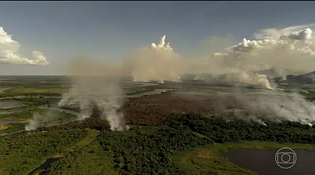 Agosto fecha com o menor registro de focos de incêndios no Pantanal