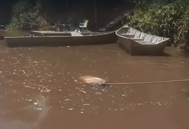 Corpo é encontrado boiando em trecho de rio entre Anastácio e Bonito
