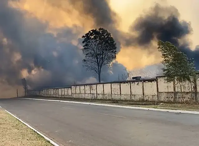 Grandes incêndios levam ao desespero moradores de Bela Vista