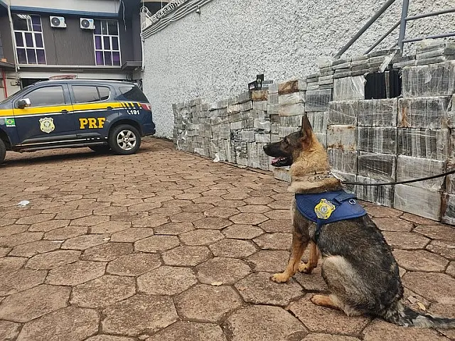 PRF apreende 1,8 tonelada de cocaína em MS, maior carga da história