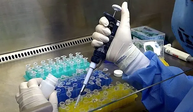 Estudo mostra 26 linhagens de coronavírus em MS