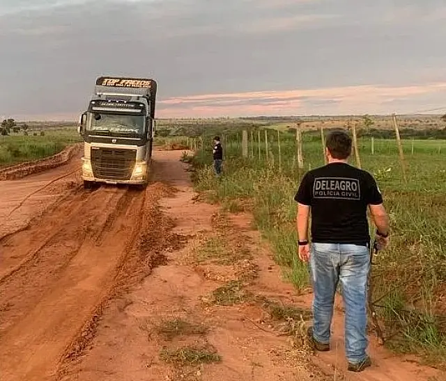 Polícia Civil recupera gado roubado em propriedade rural de Cassilândia