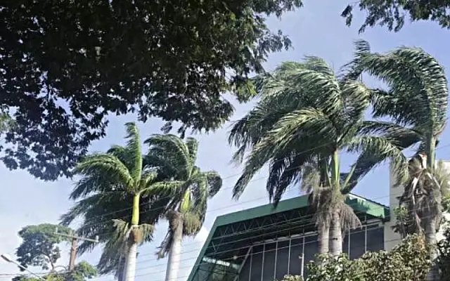 Inmet alerta: vendaval na região pantaneira e para outras 33 cidades de MS