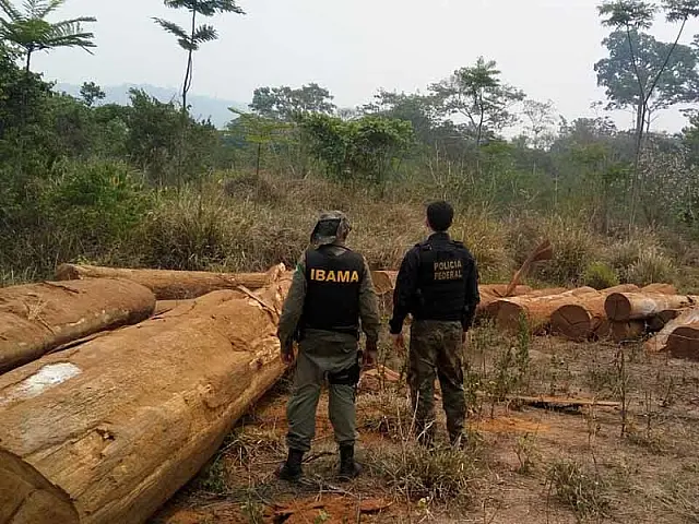 PF faz operação contra exploração ilegal de madeira na serra da Bodoquena
