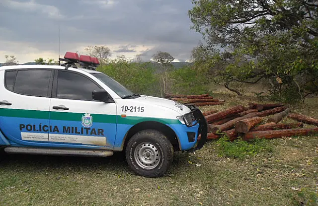 PMA apreende caminhão que transportava madeira ilegalmente na Manoel Murtinho