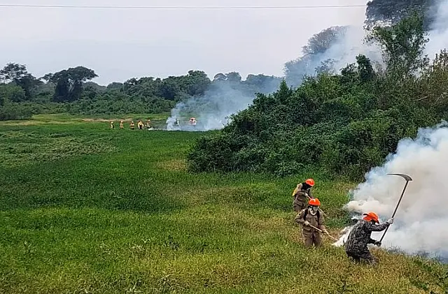 Chuvas acima da média contribuem para controlar incêndios no Pantanal