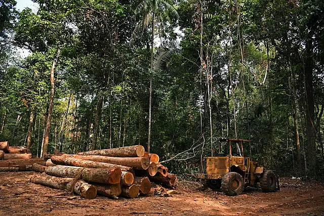 Terras invadidas somam 28% do desmatamento de 13 mil km² na Amazônia