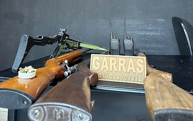 Homem é preso e armas de fogo e munições apreendidos em Dois Irmãos do Buriti