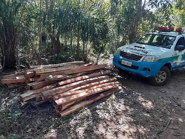 Ex-presidiário é multado em R$ 10 mil e preso por desmatamento em Aquidauana