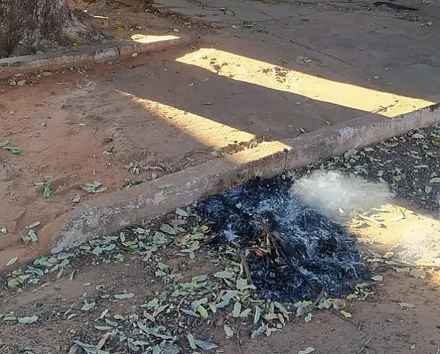 Moradora do bairro Alto é multada por atear fogo em folhagem seca