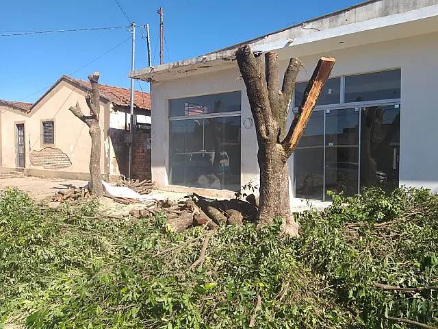 PMA de Aquidauana autua comerciante em R$ 800 por danificar árvores