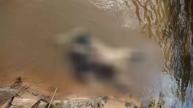 Corpo de homem nu é encontrado boiando no Rio Aquidauana