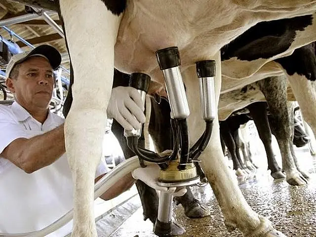 Assembleia vai discutir cenário da produção leiteira em MS