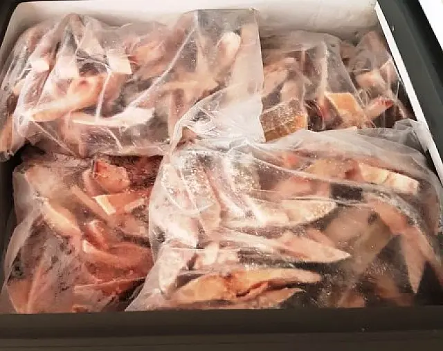 PMA fiscaliza peixarias em Corumbá e Ladário para evitar compra de pescado irregular