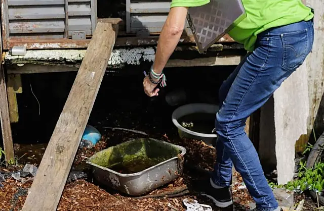 Bonito reforça combate ao Aedes aegypti e inicia aplicação de fumacê