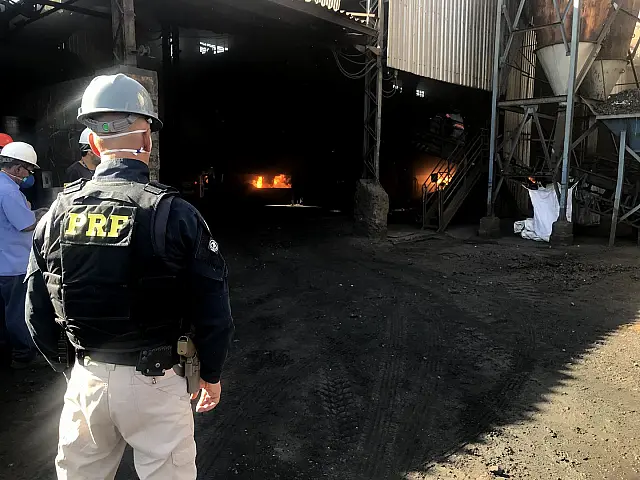 PRF e PF incineram 23,5 toneladas de drogas no Mato Grosso do Sul
