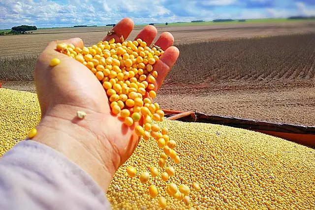 Em 2020, MS exportou 4,8 milhões de toneladas de soja em grãos