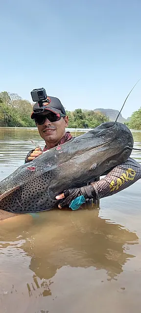 Campo-grandense captura pintado de 143 cm no Rio Aquidauana