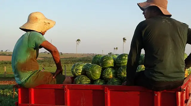 Tecnofam 2018 discute tecnologias para agricultura familiar