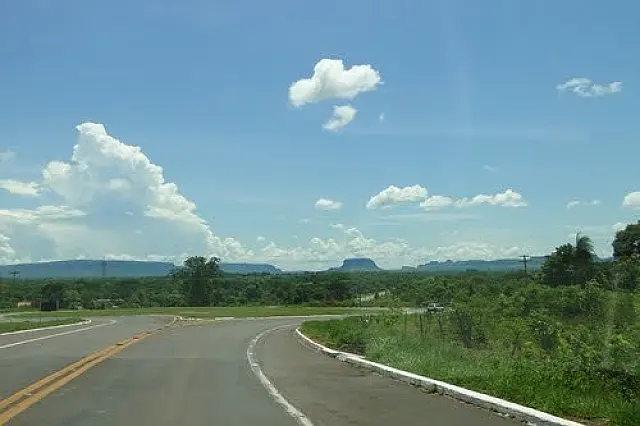 Bêbado, motorista de caminhão boiadeiro sai da pista e é preso em flagrante