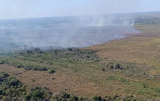 Brigadas abrem trincheiras para conter o fogo no Parque Nacional do Pantanal
