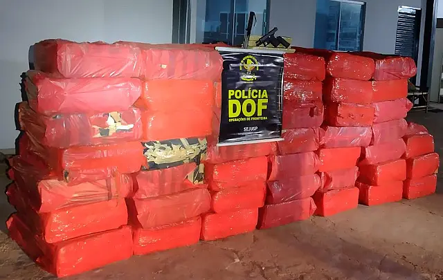 Carregamento de duas toneladas de maconha é apreendido pelo DOF