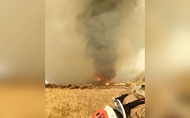 Flagra de redemoinho de fogo assustou até quem já está acostumado com incêndios no Pantanal