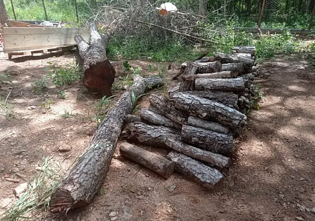Dono de sítio é autuado por crime ambiental em Bonito