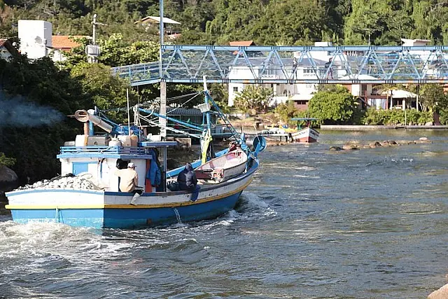 Publicada Portaria que determina as cotas de captura da tainha em 2024