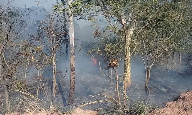 Fazendeiro é multado em mais de R$ 246 mil por incêndio