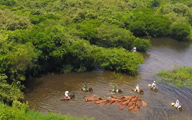 Pantanal ganha reforços na infraestrutura de estradas e pontes