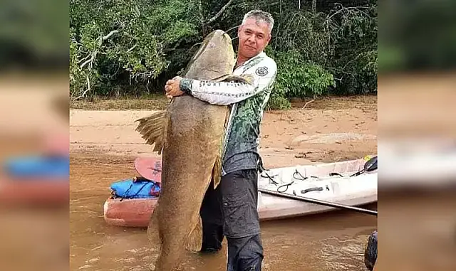 A semana é do peixe gigante: jaú de 1,70m sai do Rio Taquari