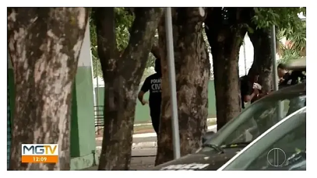 Bandidos tentam fugir, se atrapalham e batem em árvore