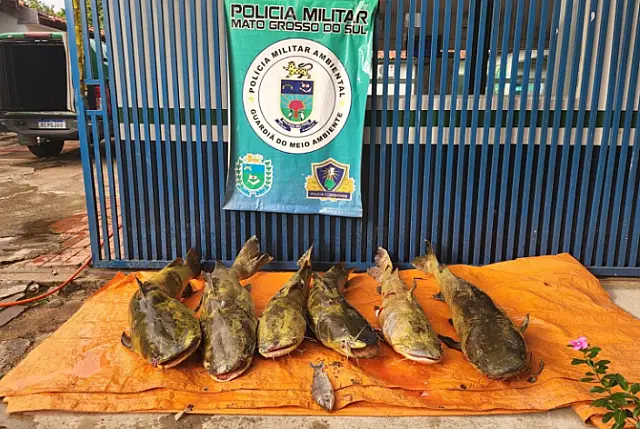 PMA apreende 111 kg de pescado em rancho