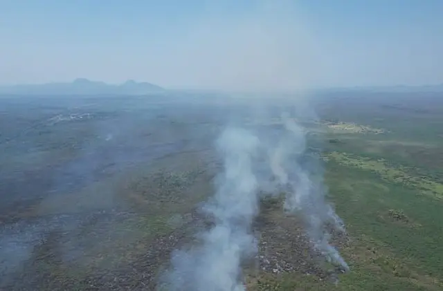 Projeto em MS busca alternativa para evitar incêndios no Pantanal
