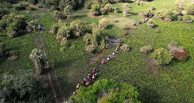 Estão abertas as inscrições para a Cavalgada 2024 em Miranda