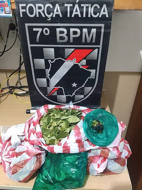 Traficante é preso transportando sacos com folhas de coca em Anastácio