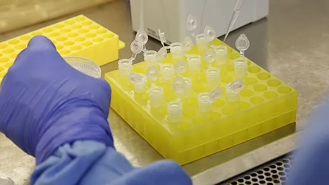 Mapeamento mostra que 13 linhagens do coronavírus circulam por MS, segundo a Secretaria de Saúde
