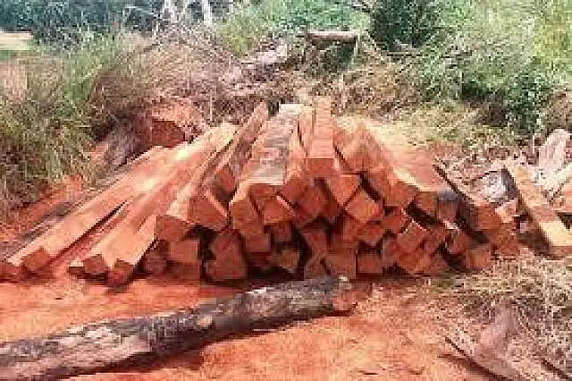 Ladrões furtam palanques de madeira de barracão em Aquidauana