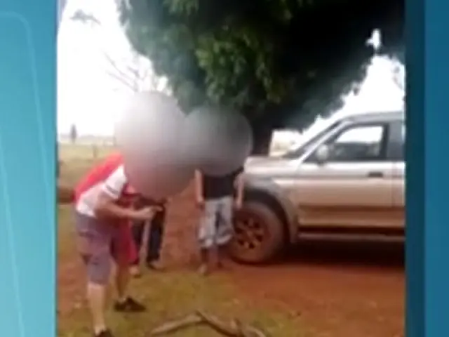 Homem dá pauladas em sucuri, posta no Whats e acaba multado
