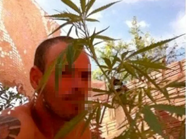Homem é preso pela PM depois de exibir no Facebook maconha em casa