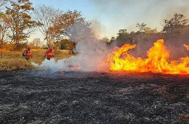 Pantanal de MS tem quatro focos de incêndios ativos