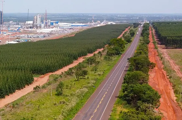 Governo de MS deve colocar rota da celulose em leilão no 1º trimestre de 2025