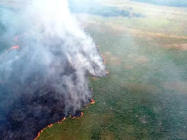 Bombeiros tentam controlar fogo no Parque Natural de Naviraí