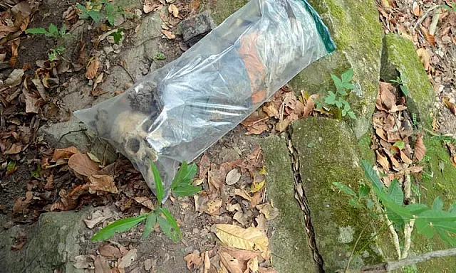 Polícia encontra ossada junto com documento de homem em fazenda em Aquidauana